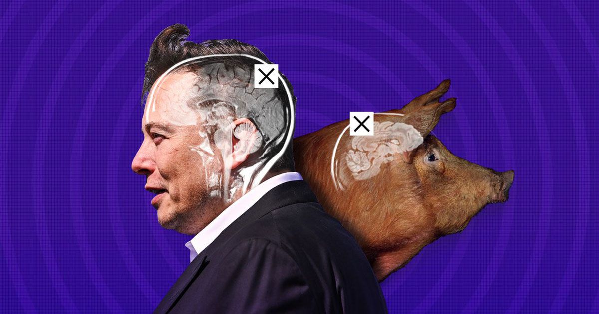 Elon Muskගේ Neuralink ව්යාපෘතිය සැබෑ මානව අත්හදා බැලීම් සඳහා සූදානම් වන බවට තොරතුරු වාර්තා වේ