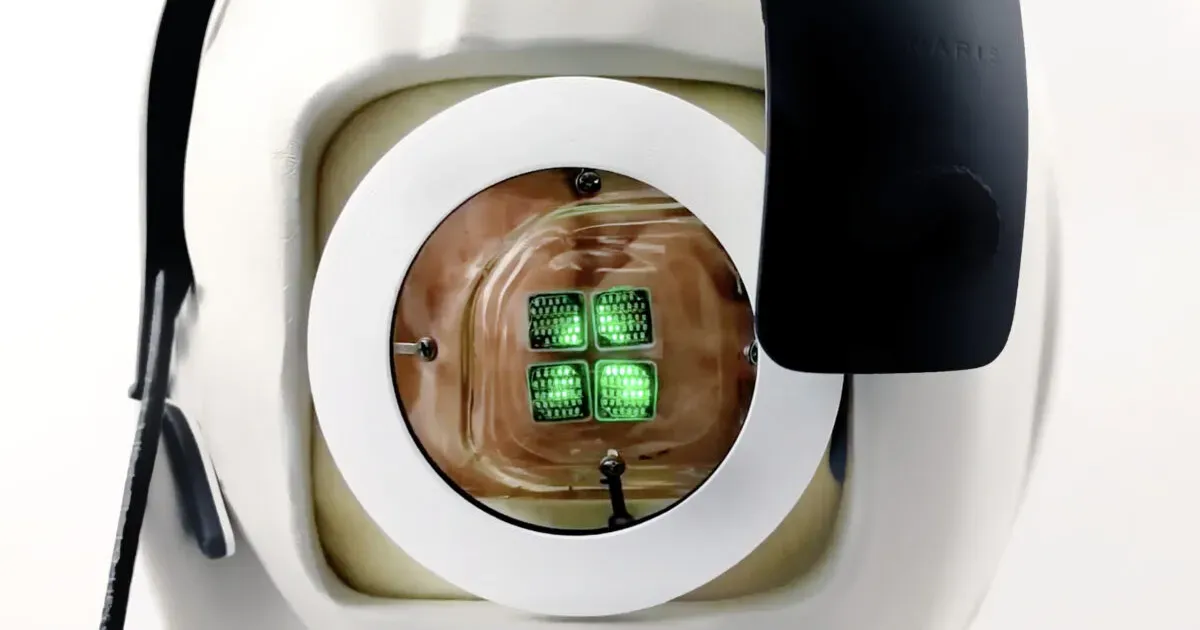 Neuralink ව්යාපෘතිය ඔස්සේ අන්ධ පුද්ගලයින් සඳහා නැවත පෙනීම ලබා දිය හැකි බව Elon Musk ප්රකාශ කරයි