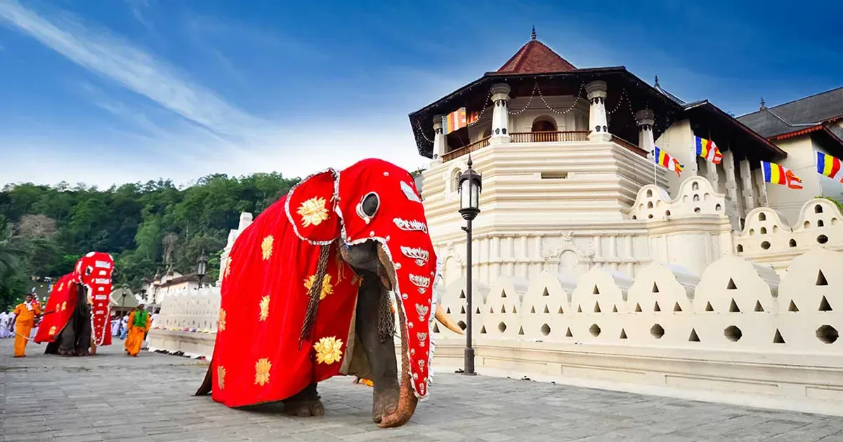 දළදා වන්දනාව වෙනුවෙන් ශ්‍රී ලංකා පොලීසියෙන් නව වෙබ් පිටුවක්